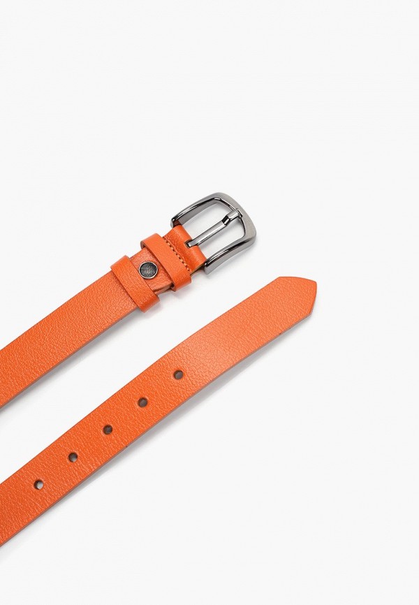 фото Ремень f.g.z.