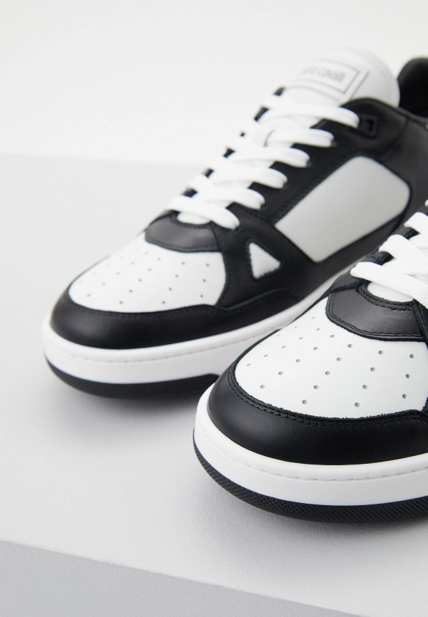 фото Кеды roberto cavalli