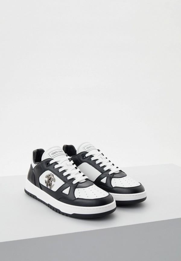 фото Кеды roberto cavalli