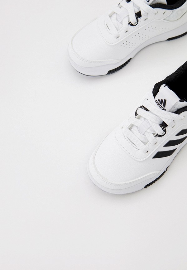 фото Кеды adidas