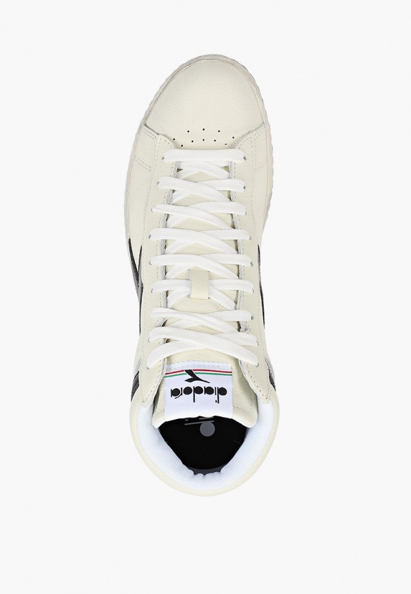 фото Кеды diadora