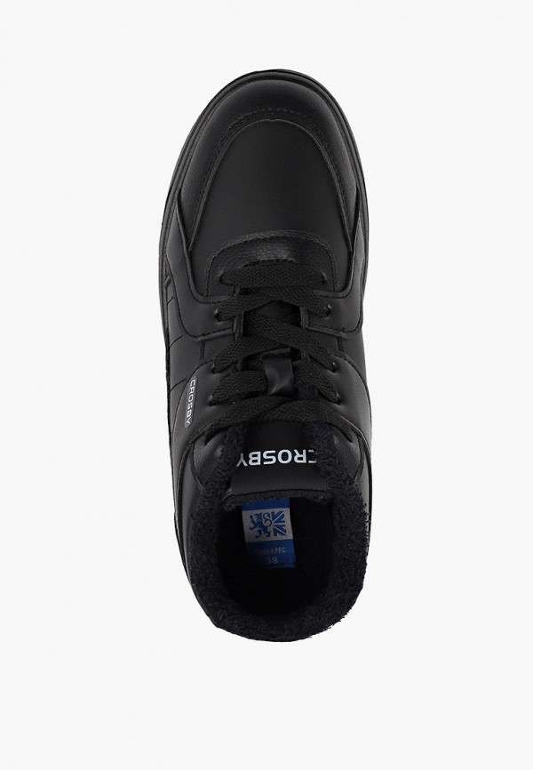 фото Кеды crosby