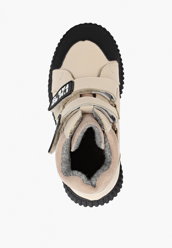 фото Кеды котофей