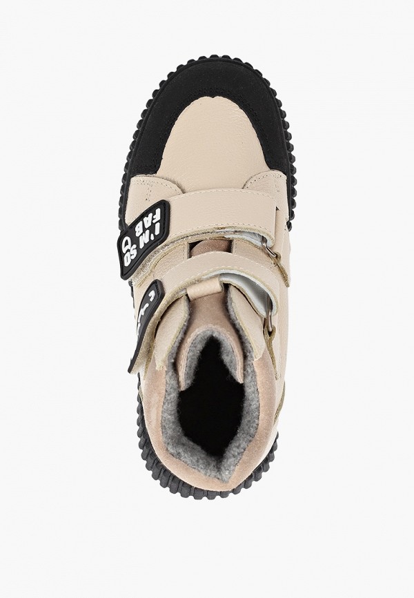 фото Кеды котофей