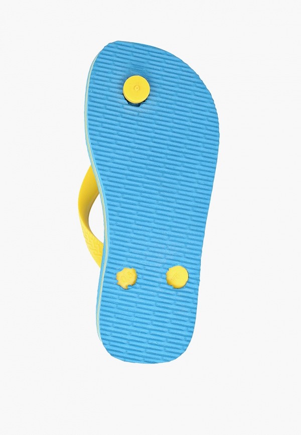 фото Сланцы havaianas