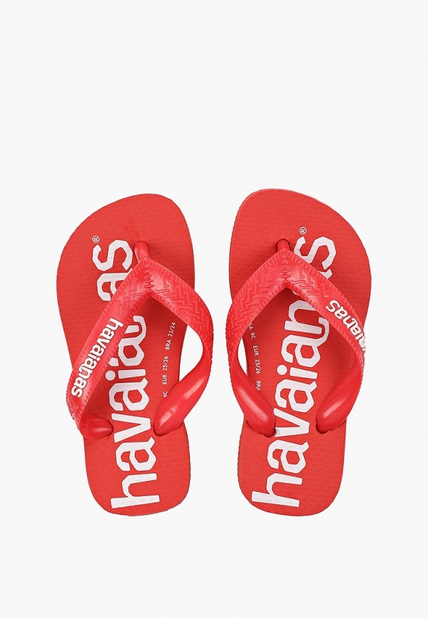 фото Сланцы havaianas