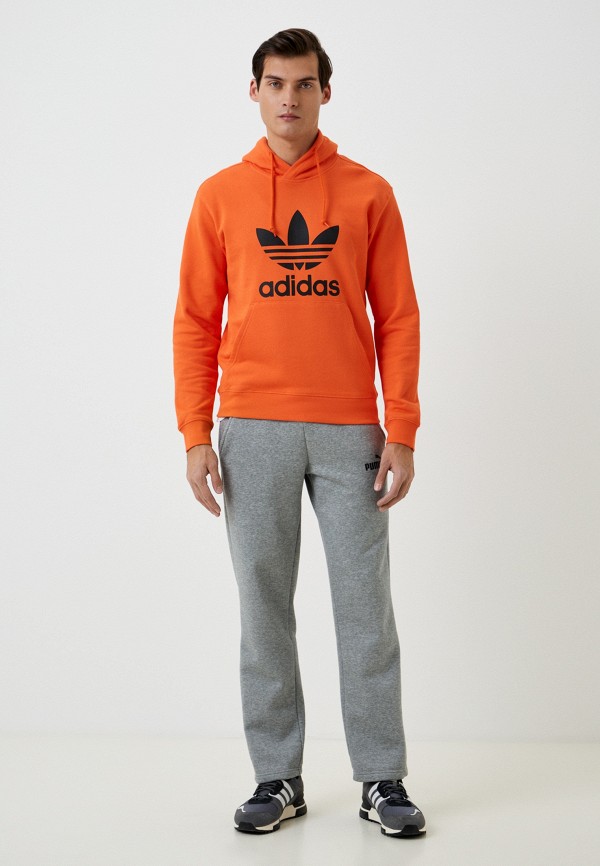 фото Худи adidas originals