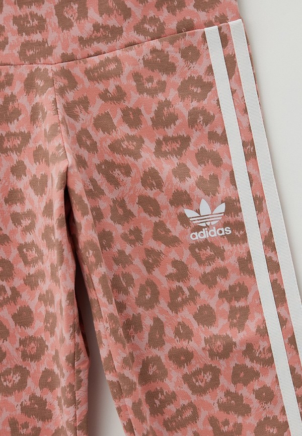 фото Леггинсы adidas originals