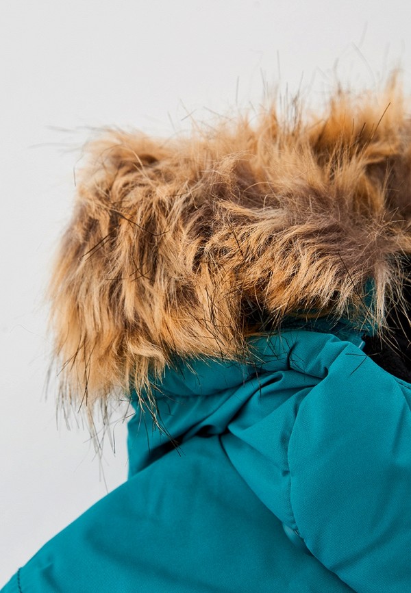 фото Парка gusti