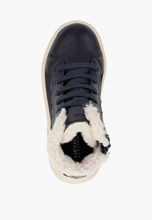 фото Кеды geox