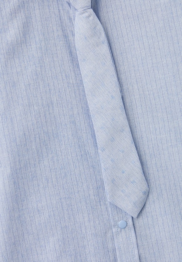 фото Рубашка и галстук dali