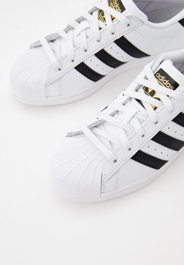 фото Кеды adidas originals