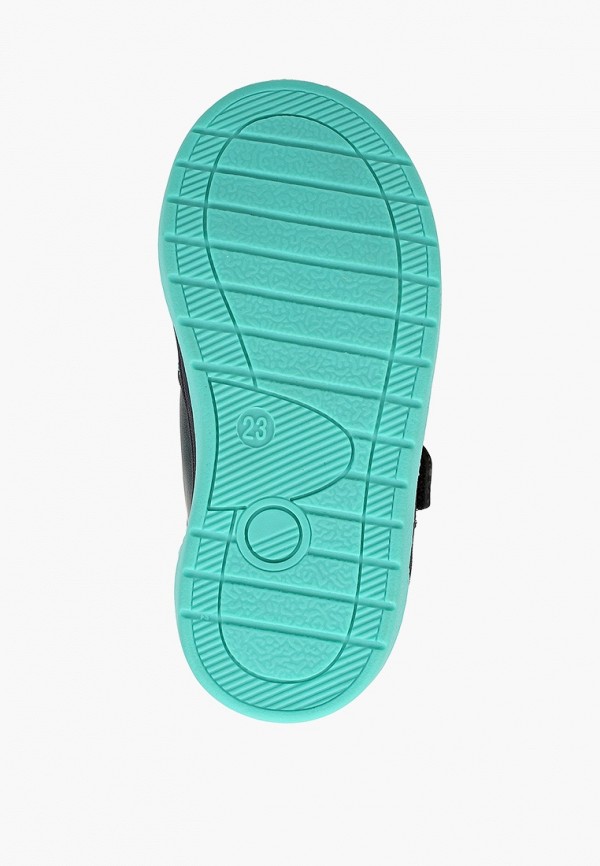 фото Кеды kakadu