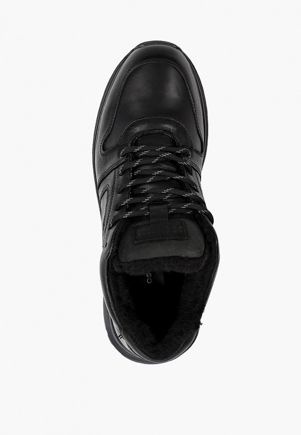 фото Кроссовки strobbs