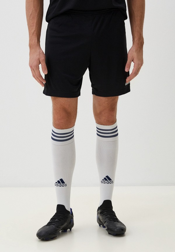 

Шорты спортивные adidas, Черный, ENT22 SHO