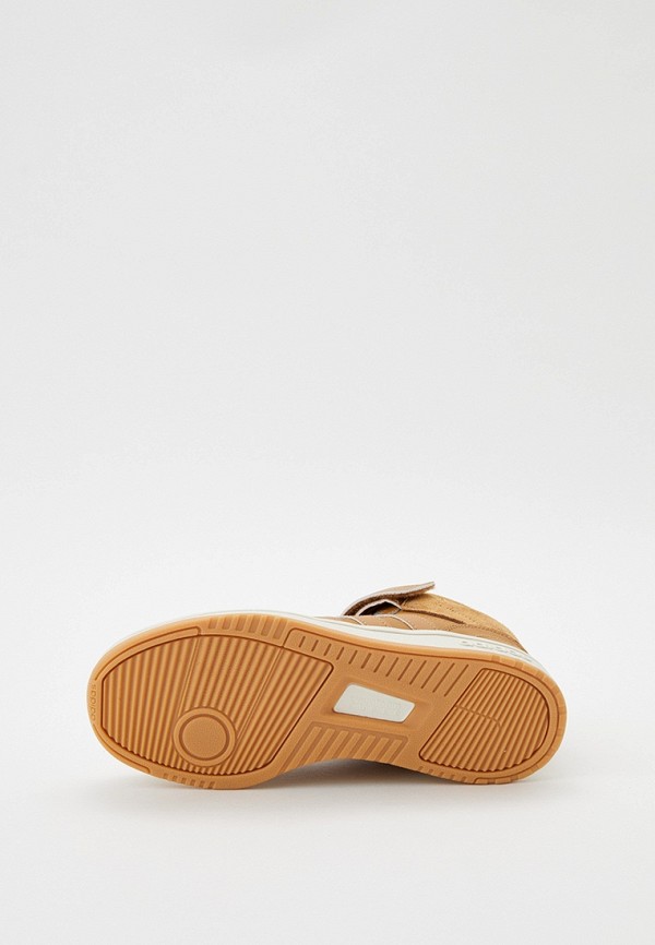 фото Кеды adidas