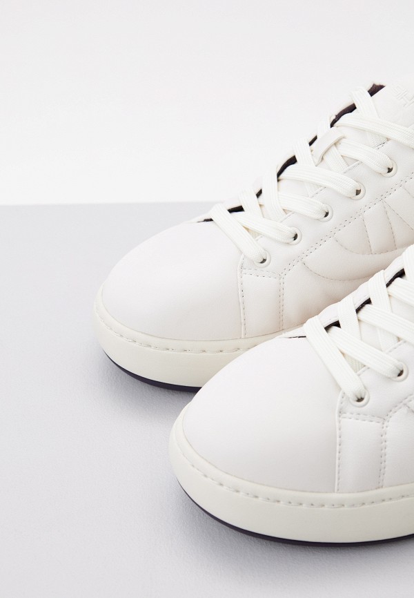 фото Кеды ash