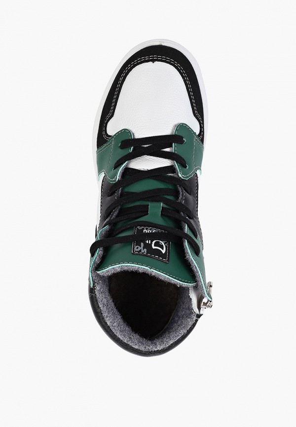 фото Кеды котофей