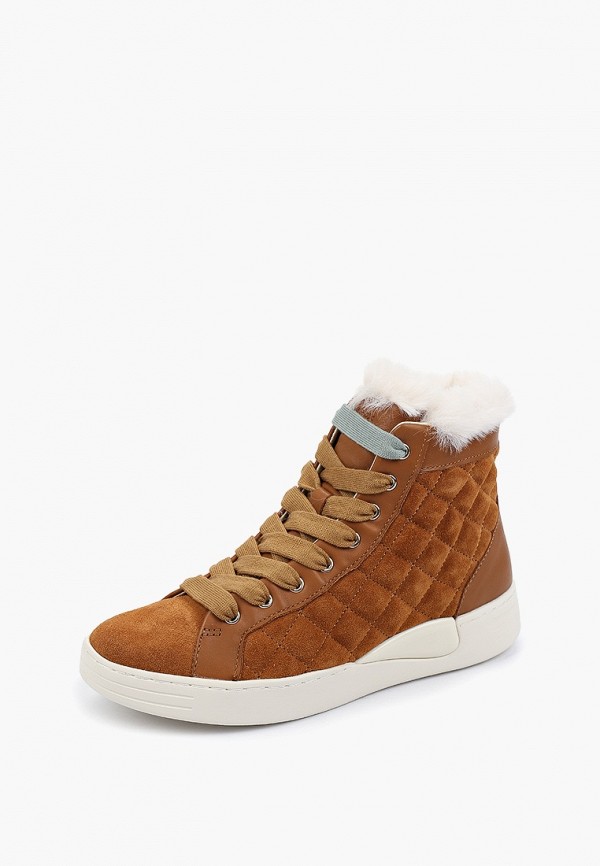 фото Кеды geox