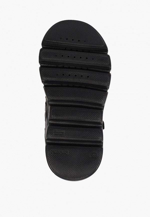 фото Ботинки geox