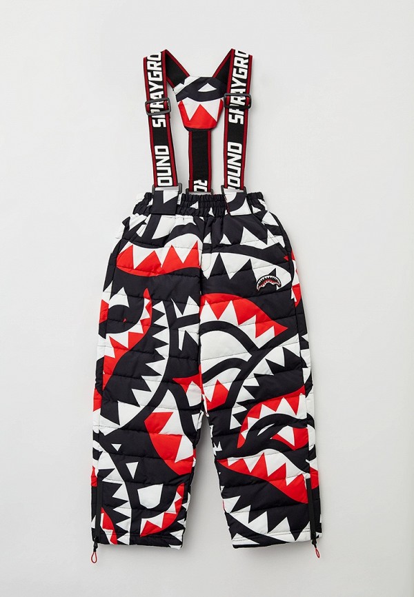 фото Брюки утепленные sprayground