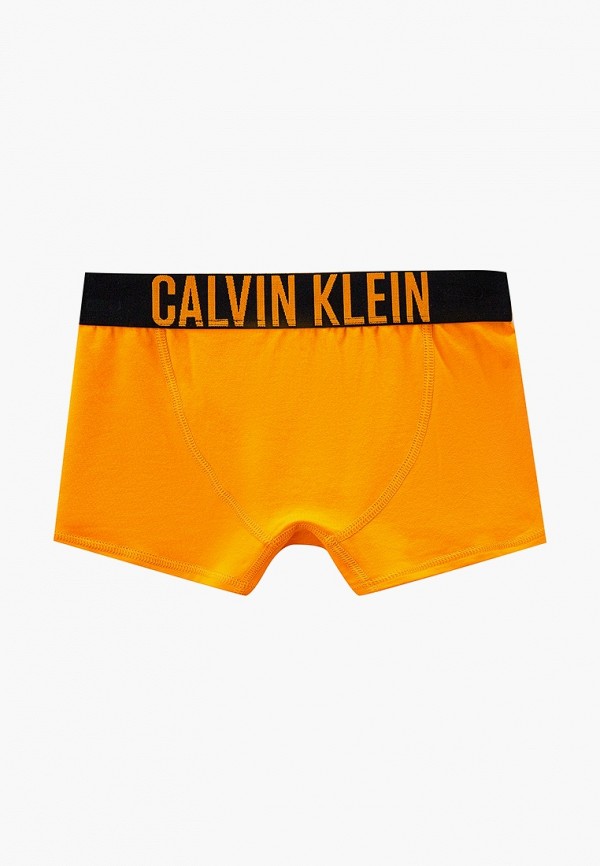 Трусы для мальчика 2 шт. Calvin Klein B70B700446 Фото 2