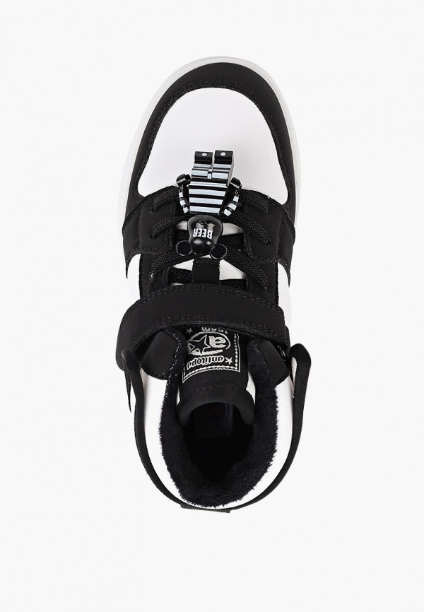 фото Кеды antilopa