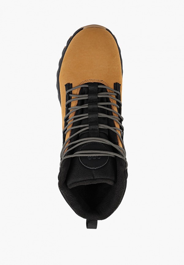 Ботинки трекинговые Strobbs коричневый, размер 42, фото 4