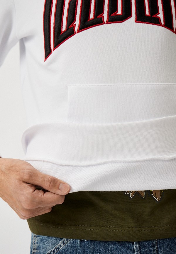 фото Худи iceberg