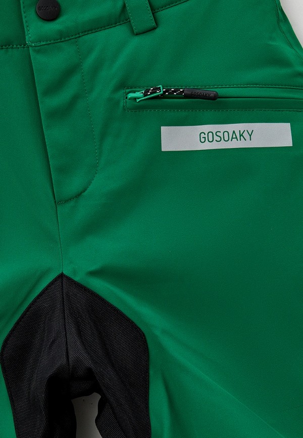 фото Брюки горнолыжные gosoaky