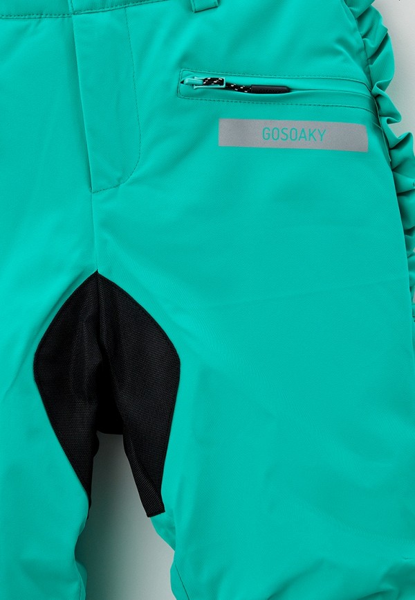 фото Брюки горнолыжные gosoaky