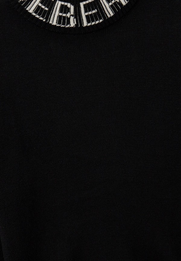 фото Водолазка iceberg