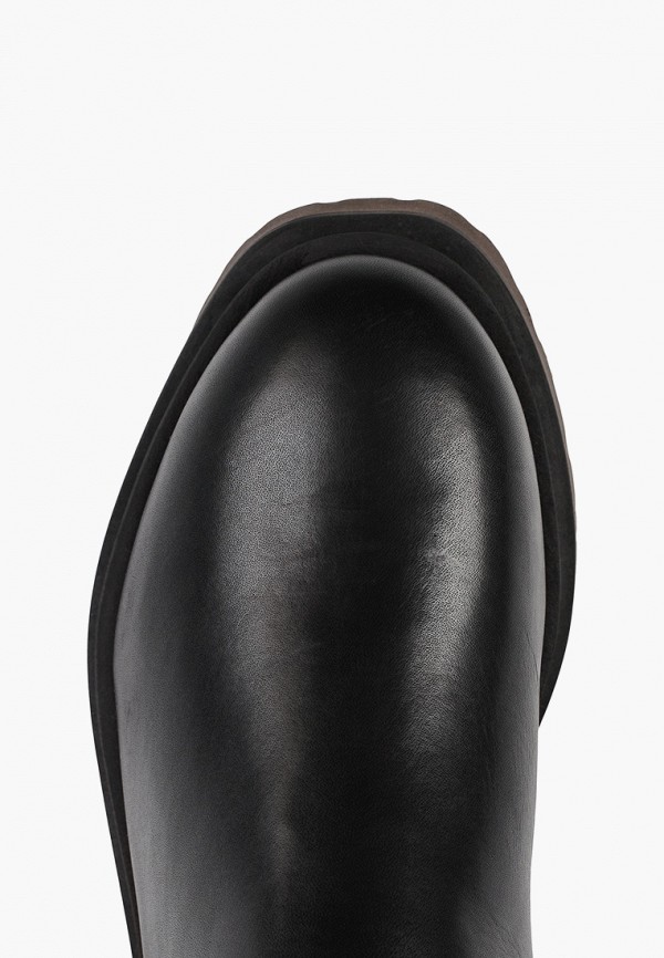 фото Сапоги alba