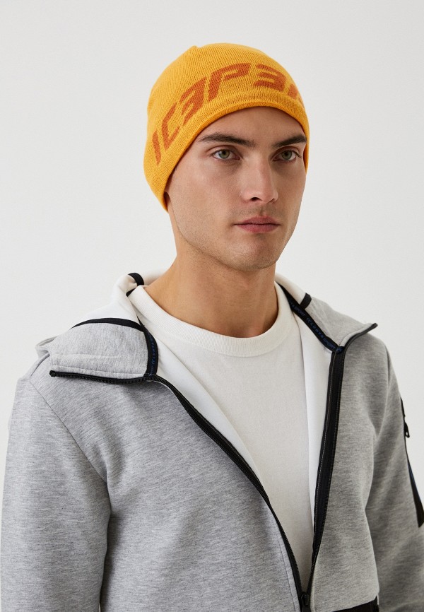 фото Шапка icepeak