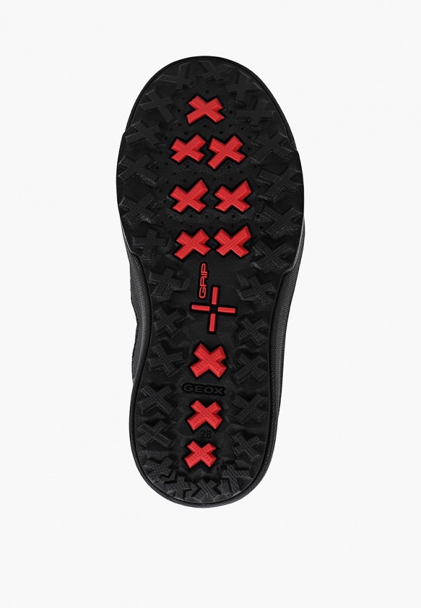 фото Сапоги geox