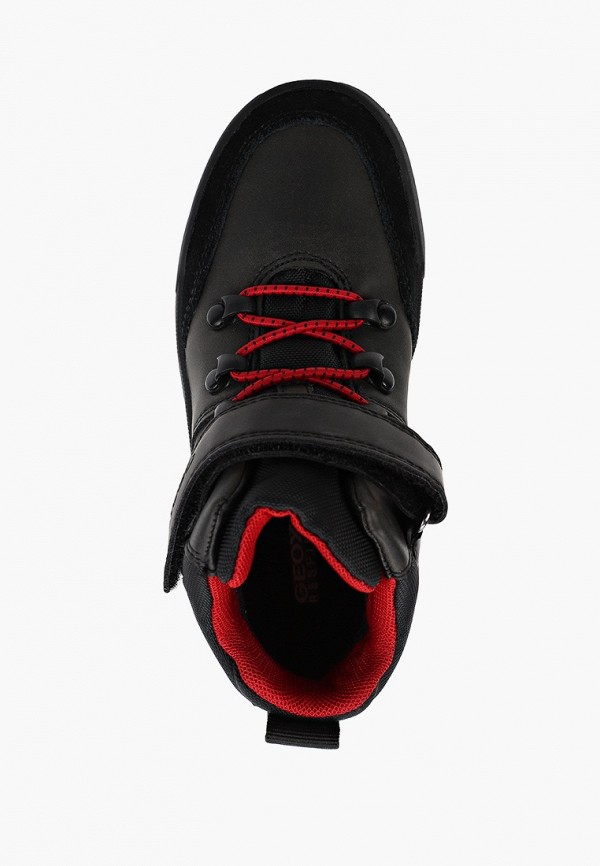 фото Кеды geox