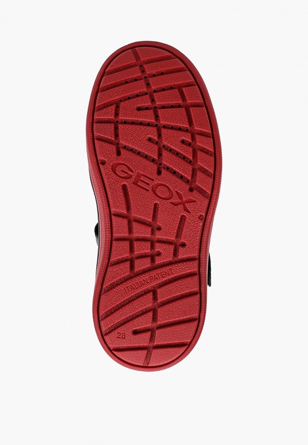 фото Кеды geox