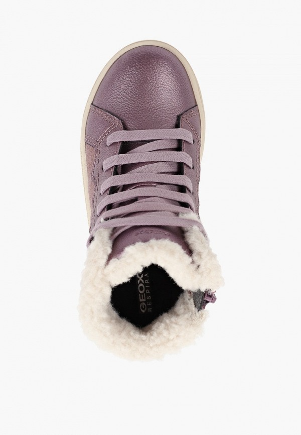 фото Кеды geox