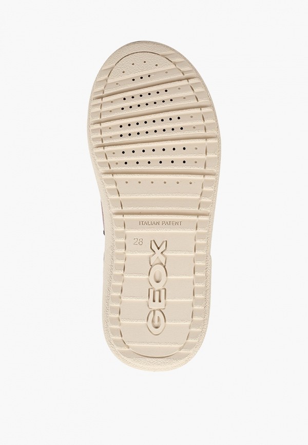 фото Кеды geox