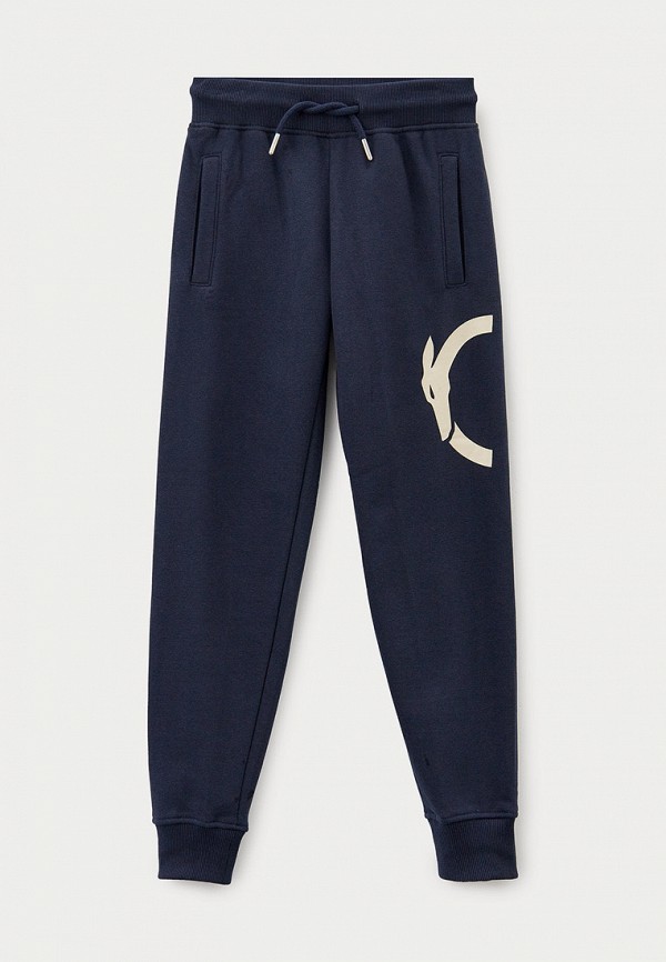 

Брюки спортивные Trussardi Junior, Синий