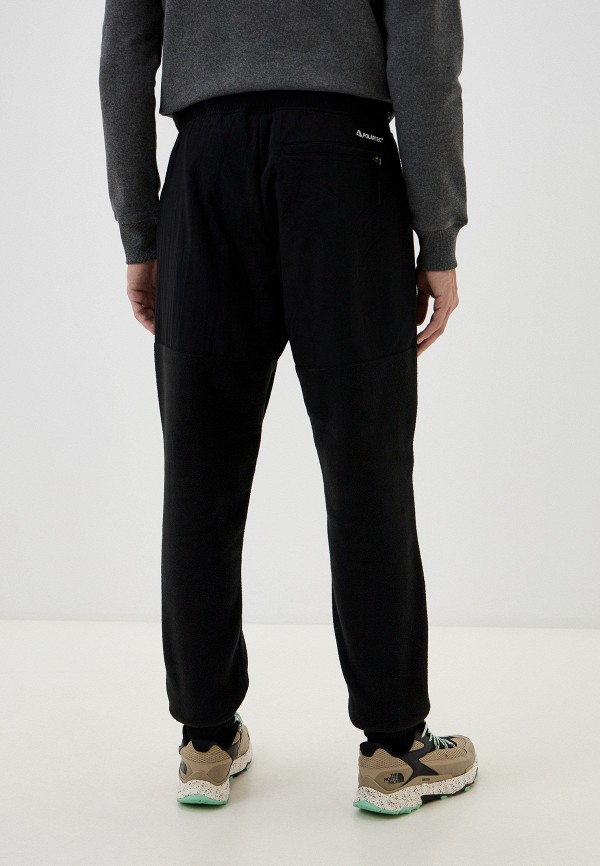 фото Брюки спортивные the north face