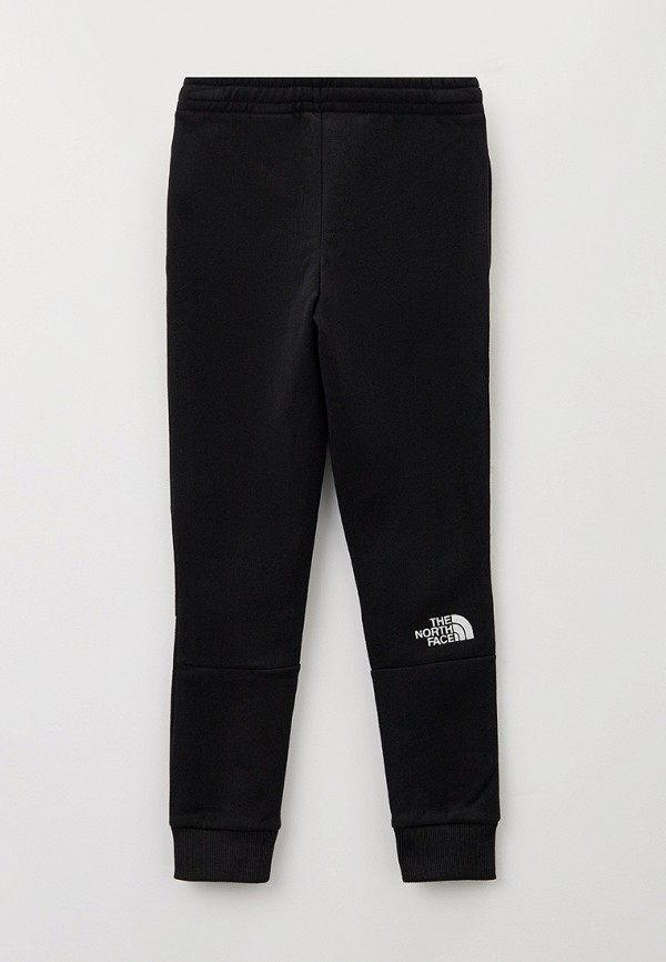фото Брюки спортивные the north face