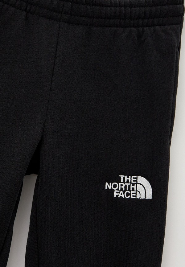 фото Брюки спортивные the north face