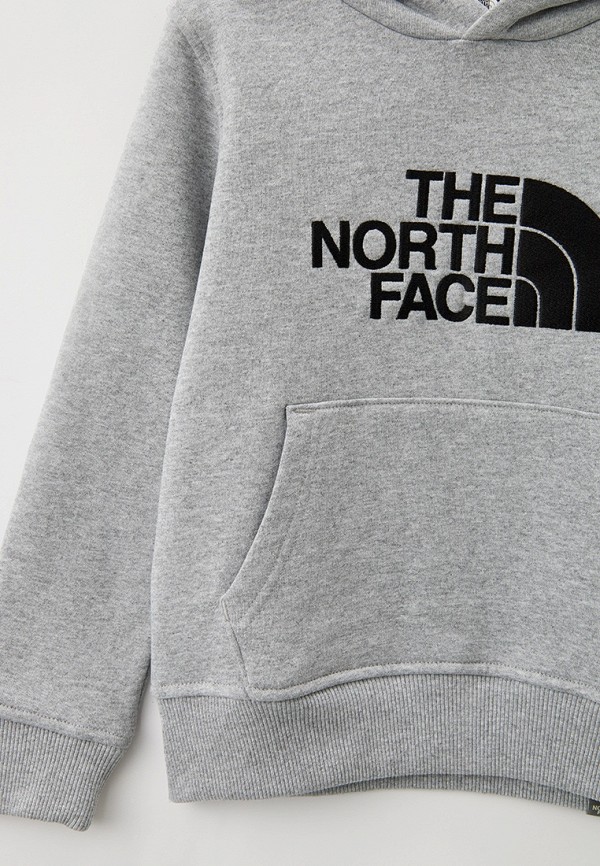 фото Худи the north face