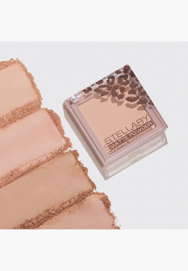 фото Пудра stellary