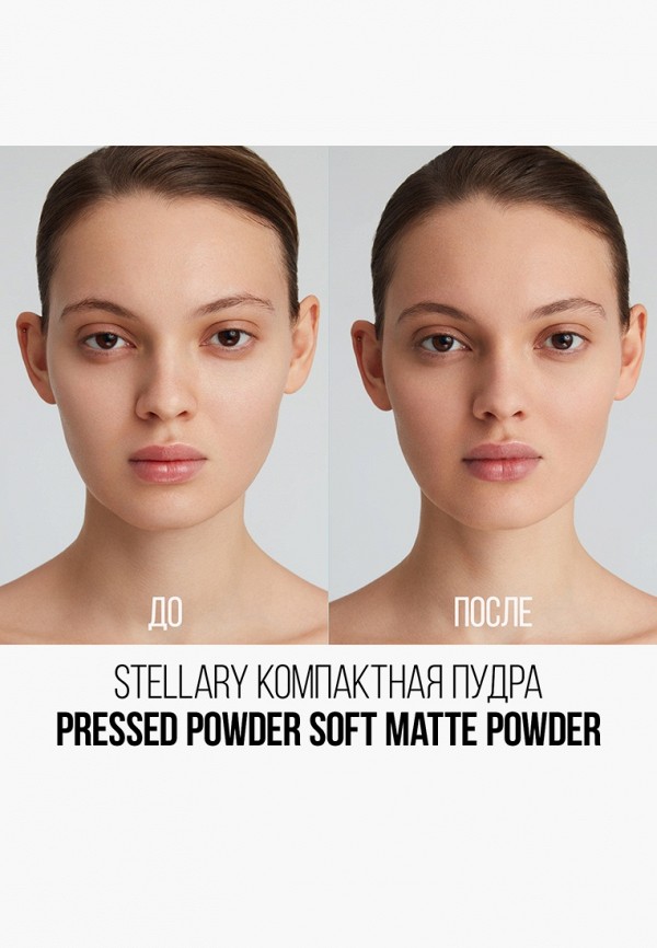 фото Пудра stellary