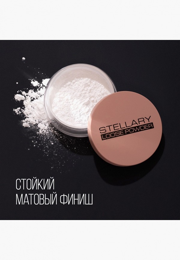 фото Пудра рассыпчатая stellary