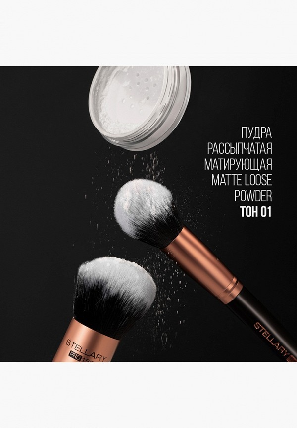 фото Пудра рассыпчатая stellary