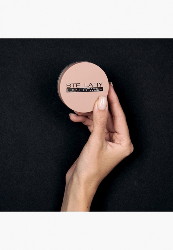 фото Пудра рассыпчатая stellary