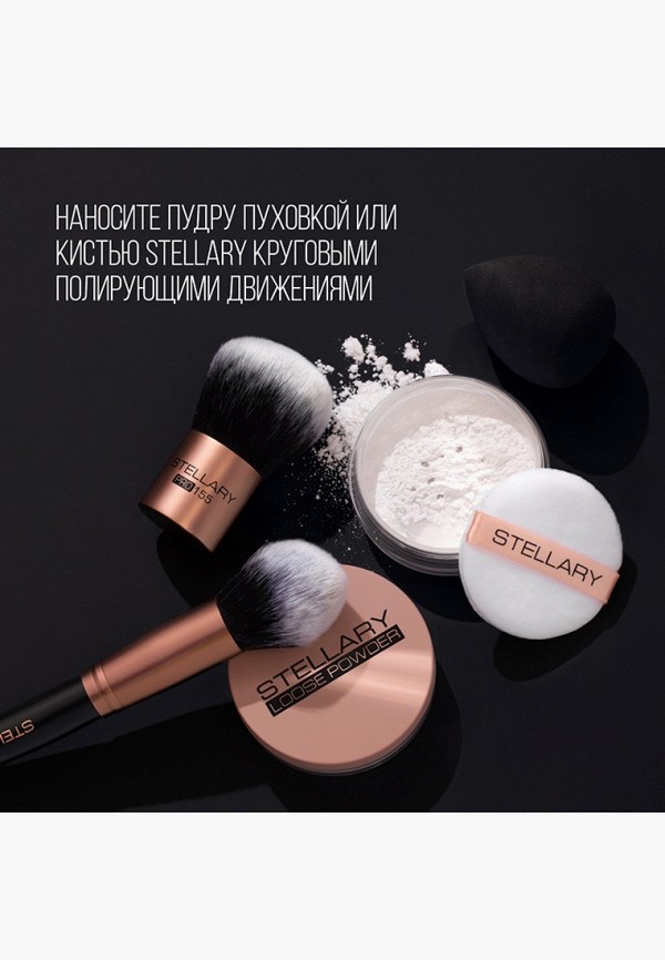 фото Пудра рассыпчатая stellary
